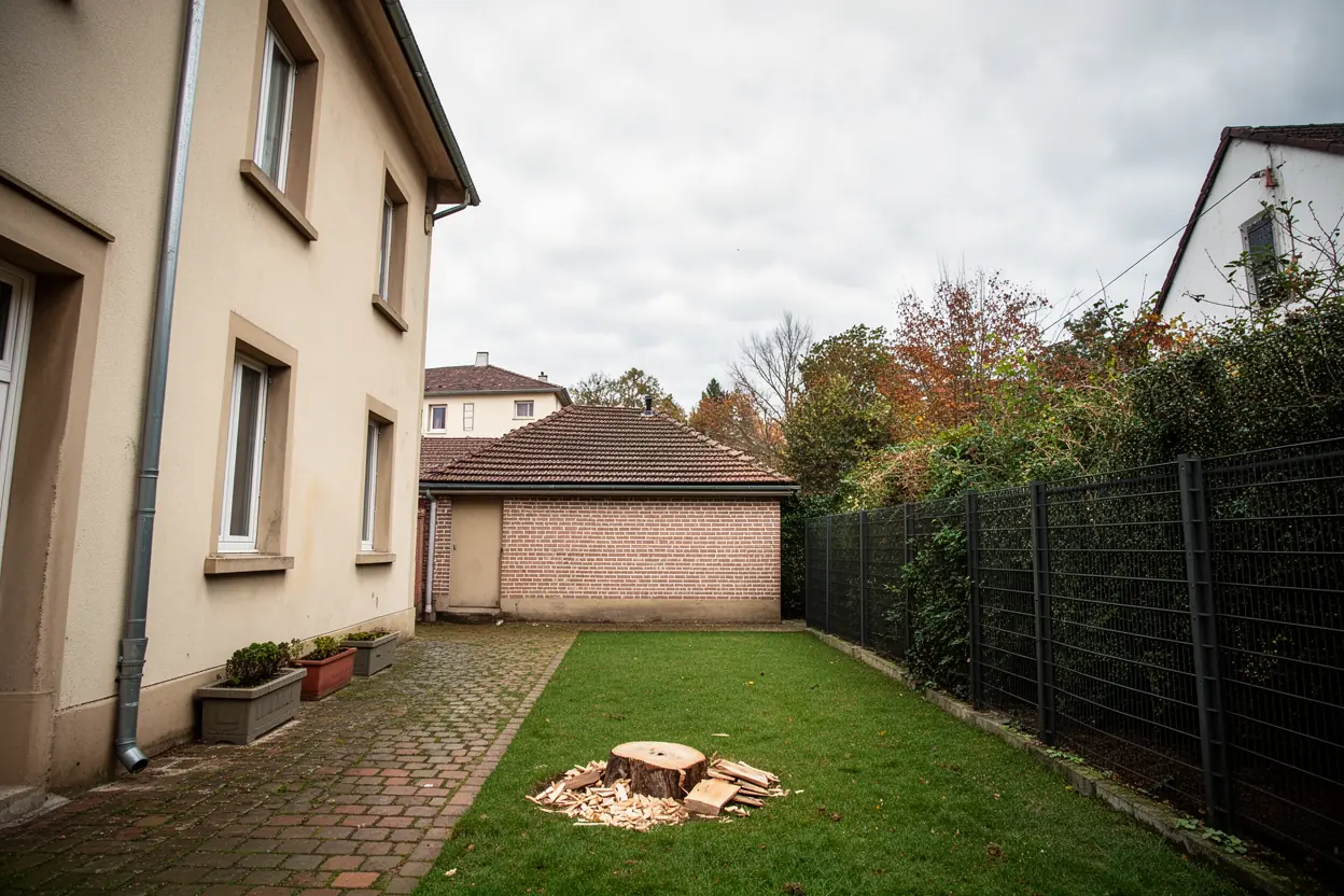 Cour dégagée après démontage du conifère à Schiltigheim